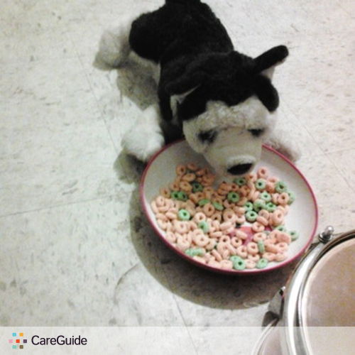 Pet Care Provider Clarissa Sahloff's Profile Picture