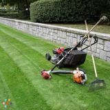 Spring Cleanup/Summer Lawn Care