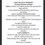 Pet Sitter/ Doggy Day Care/ Dog Walker