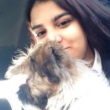 A lover of animals who would love to look after your furry friend.