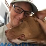 Experienced, trustworthy and flexible pet lover. Pet Sitting Available along with basic training and behavioral modification