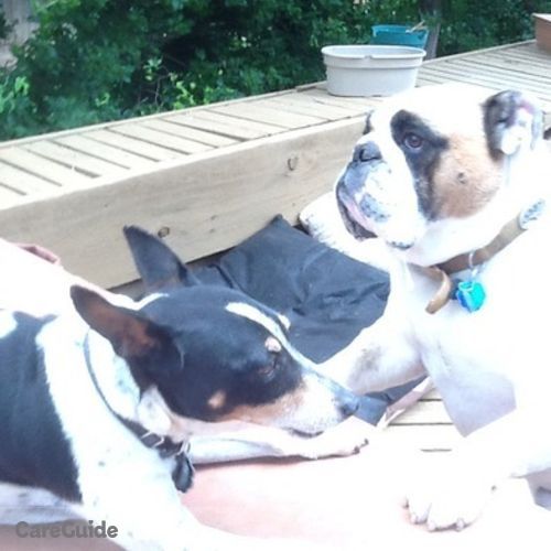 Pet Care Job Stan W's Profile Picture