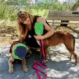 Well known, Experienced,Fun,Dependable.(Overnight sitting available)Petsitter