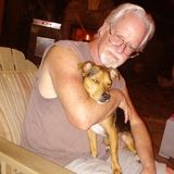 Need a petsitter/dog walker near Jacksonville Beach?