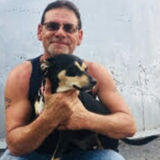 I'm mike,trusting someone to walk or stay over with your best friend is so difficlt.i'd love to help you both.