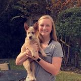 Seeking a Dog Walker Job in Huntsville to The Woodlands Texas.