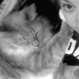 Searching for Waxhaw Pet Care Provider