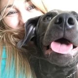 Safe and secure sitter who is looking to help!