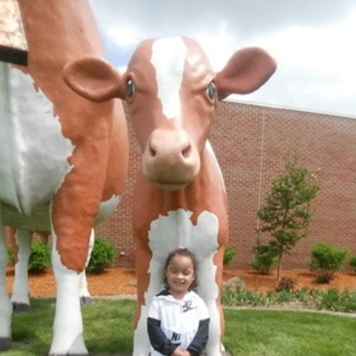 Child Care Provider Cheryl T's Profile Picture
