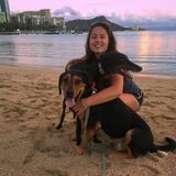 Full time dog walker/sitter