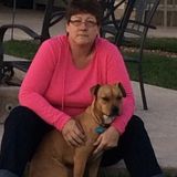 Experienced and reliable care for all your animals