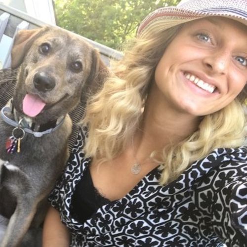Pet Care Provider Brittany A's Profile Picture