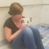 House and Pet Sitting Professional with many years of experience