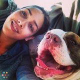Pet Sitting available everyday!