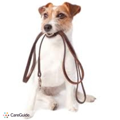 Pet Care Provider Benjamin Harris's Profile Picture