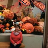 Orange County Cat Sitter Interested In Being Hired in Florida