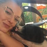 Veterinary Medicine And Zootecnista In Plantation Willing To Take Care Of Your Pets