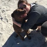 Reliable and trustworthy house sitter!