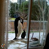 Decorative WIndow Art
