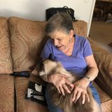 Am a retiree I live in a retirement community and I can pay $12.00/visit I have 3 cats (2seniors and 1 female 6 yrs)