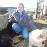 Fun and loving nanny or babysitter Provider Seeking Being Hired