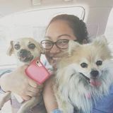 A friendly sitter who can't wait to shower your dog, cat, rat, or whatever creature you may have with love and care!