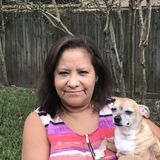 Hi, there my name is Christina I can come by and house sit, animal care, water plants, collect mail.