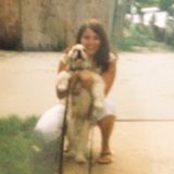 Dog walker/pet sitting