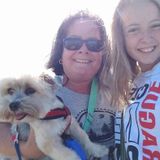 We Love Animals!