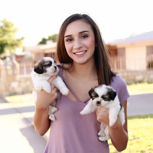 Pet Care Provider Mariel R's Profile Picture