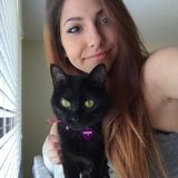 Available: Well Trained Dog Walker in Spring Hill