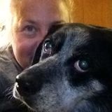 North Ridgeville Pet Sitter Looking For Being Hired loves dogs
