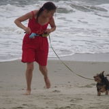 Downingtown Petsitter Searching for Job Opportunities in Pennsylvania