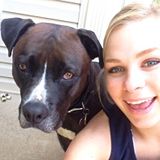 Animal lover and owner looking to hangout with some more pets.