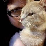 Indiana, Pennsylvania Pet Carer