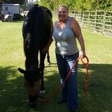 Dedicated Animal Caregiver in Camp Verde, Arizona