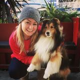 Interested In Larkspur Home Sitter, California Jobs