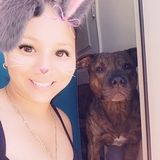 For Hire: Talented Pet Service Provider in Hagerstown