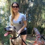 Pet Sitting & Dog Walking