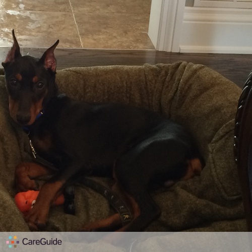 Pet Care Job Michelle P's Profile Picture