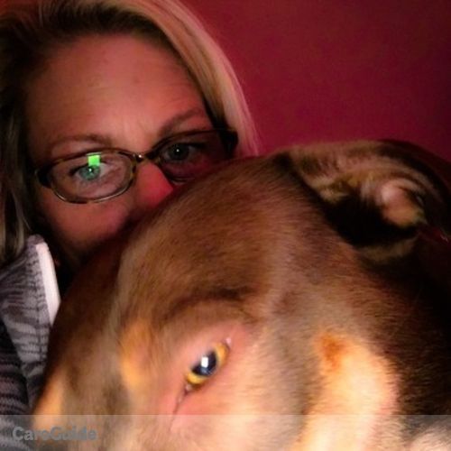 Pet Care Provider Bev N's Profile Picture