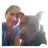 Housesitting/Petsitting...Man, Woman, & Dog's Best Friend