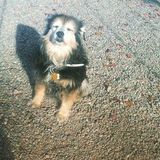 Need someone you can trust to care for your companion? I'm ur gal.