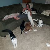 The Vet tech pet sitter