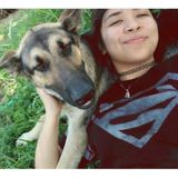 Beeville Pet Service Provider Searching for Being Hired