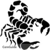Unbeatable Quality and Price with Scorpion Home Improvement!