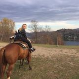 Seeking Montreal Animal Caregiver Opportunity