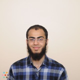 Experienced Math and Science Tutor - Grade 1 - 12 Brampton/Skype