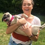 Reliable Grad Student Looking To Care for Your Animal