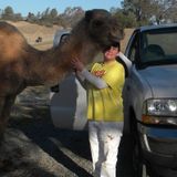 Energetic, trustworthy home and pet sitter